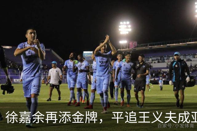 徐嘉余再添金牌，平追王义夫成亚运新传奇